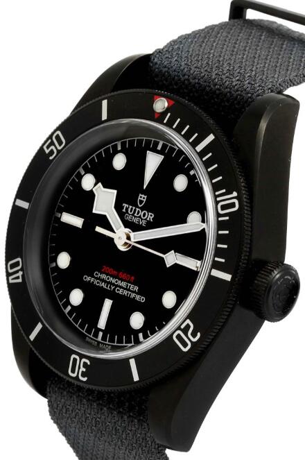 Tudor BLACK BAY DARK M79230DK-0006 Replica Watch